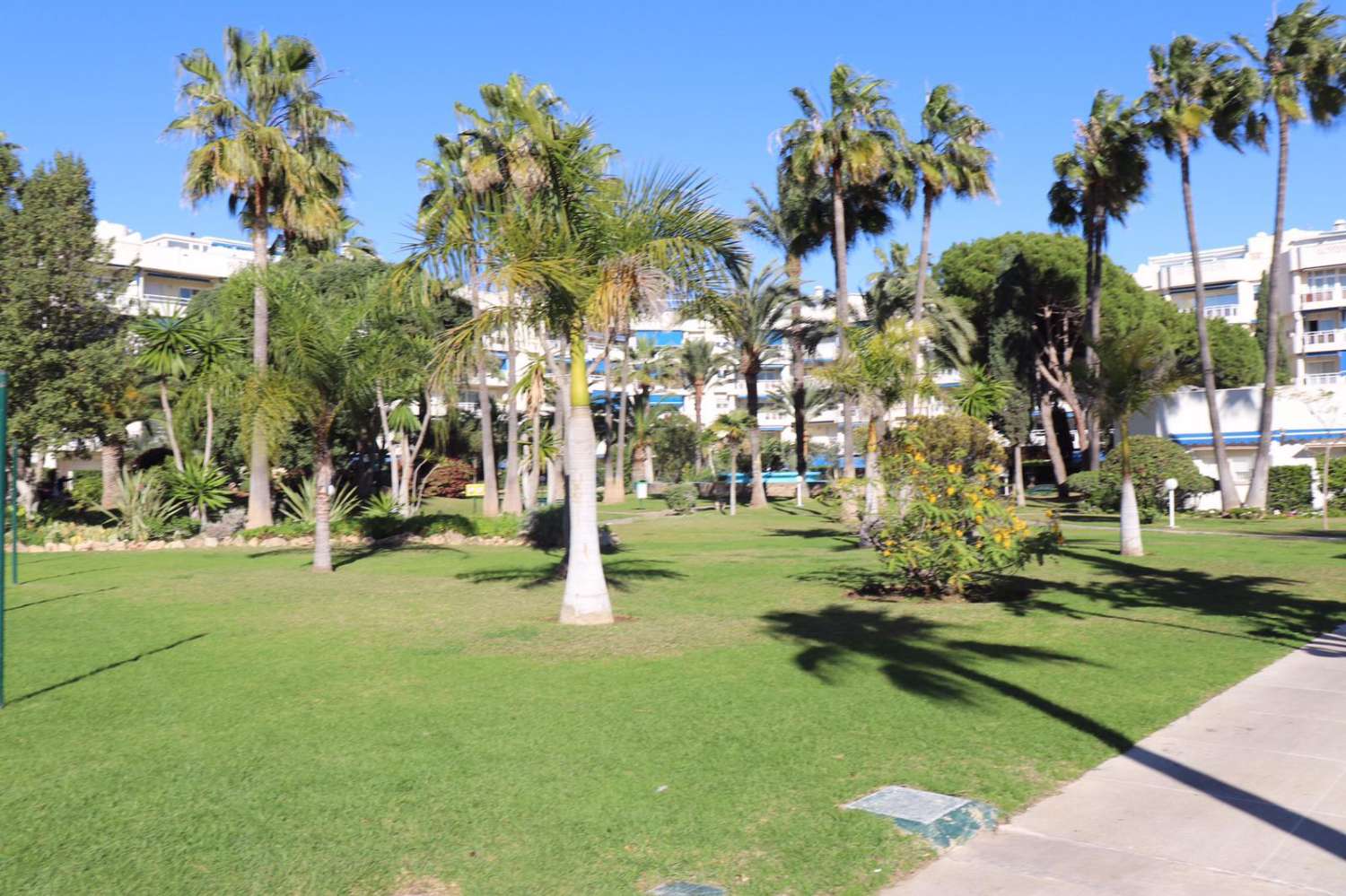 For rent MID SEASON from 01/10/2024 -31/03/2025 magnificent apartment on the 1st line of the beach in Los Alamos.
