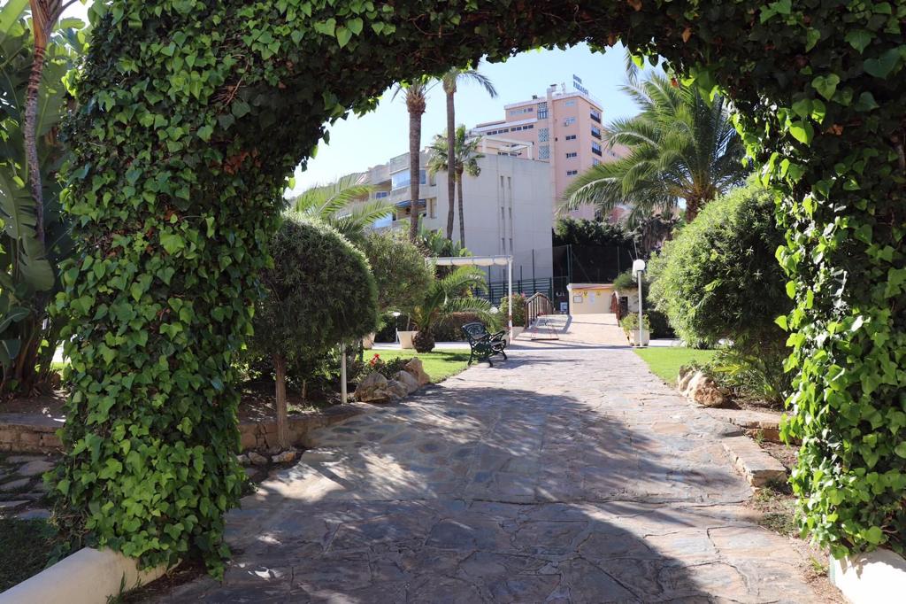 For rent MID SEASON from 01/10/2024 -31/03/2025 magnificent apartment on the 1st line of the beach in Los Alamos.