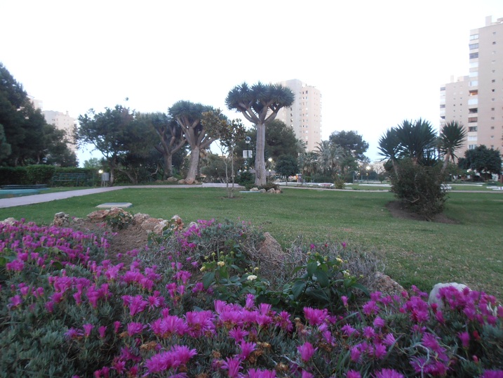 SE ALQUILA MEDIA TEMPORADA desde 01/01/2026 hasta 01/03/2026 Y desde 01/09/2025 - 31/05/2026 MAGNIFICO APARTAMENTO CON VISTA AL MAR EN PLAYAMAR