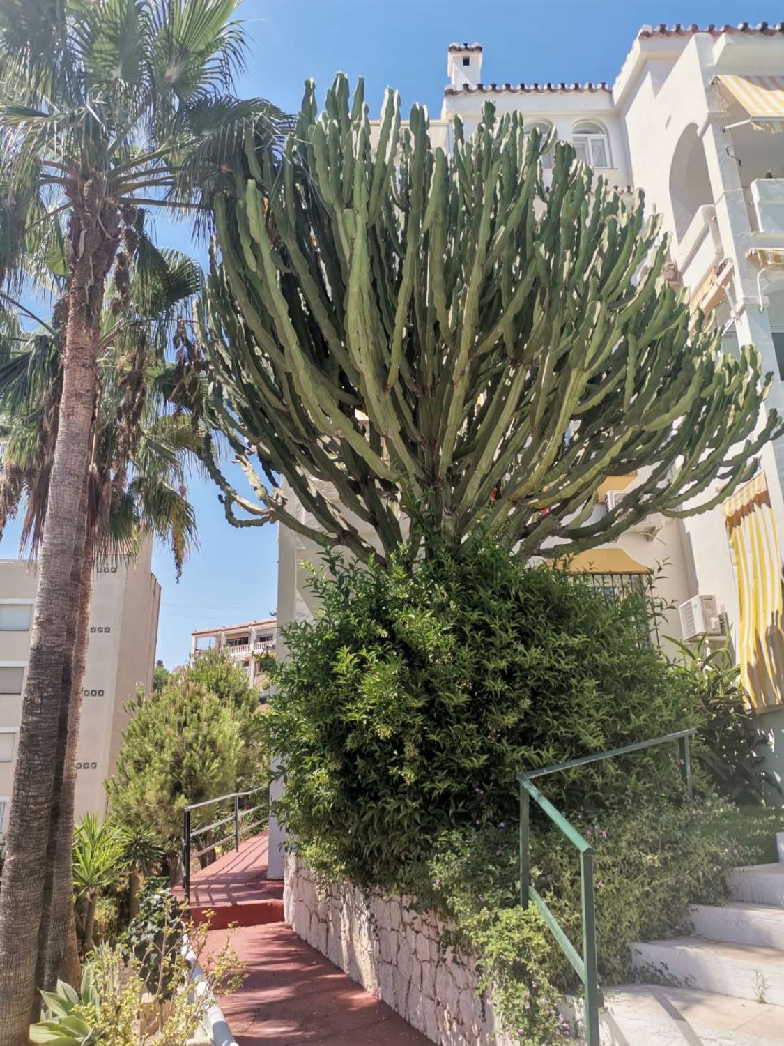 FOR RENT HALF A SEASON FROM 01/09/2025 - 30/06/2026 BEAUTIFUL APARTMENT WITH SEA VIEWS IN TORREBLANCA DEL SOL, FUENGIROLA.
