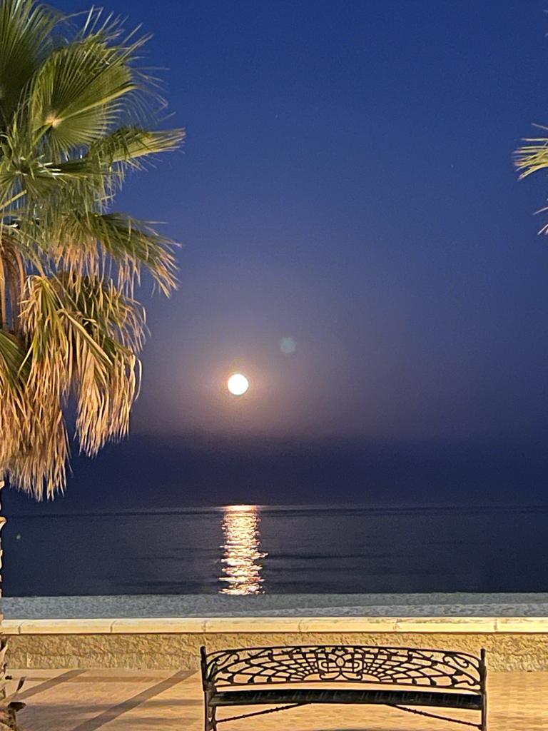 For rent from 01/09/2025 - 30/06/2026 Magnificent apartment on the 1st line of the beach in Fuengirola