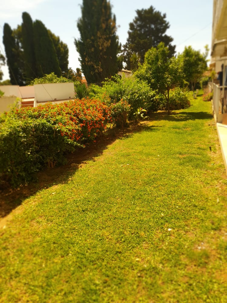 IT IS NOT LONG-TERM. FOR RENT FROM 1.9.25 -30/06/2026 NICE RENOVATED APARTMENT NEAR PLAZA SOLYMAR