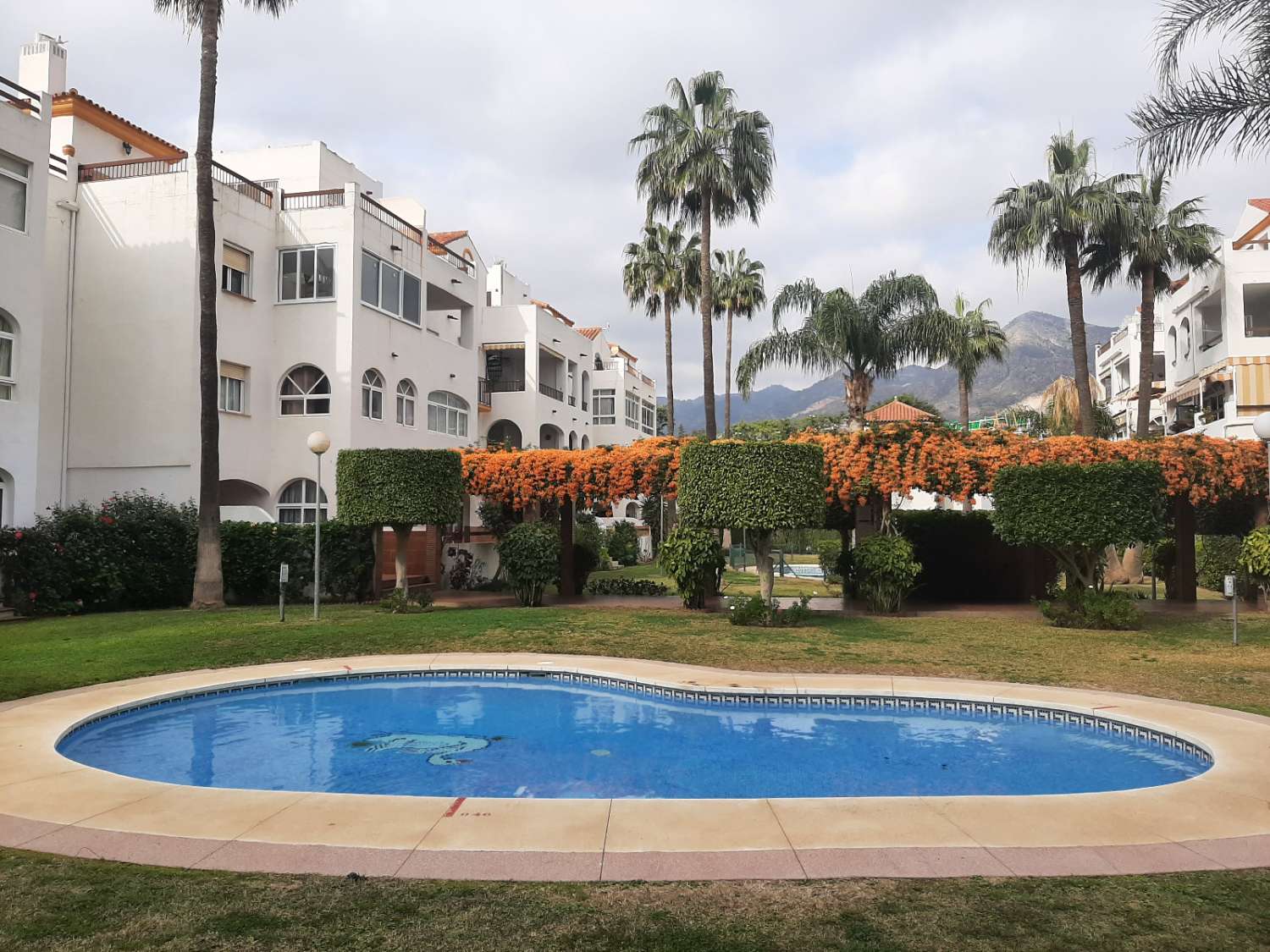 DEMI-SAISON. BEL APPARTEMENT AU REZ-DE-CHAUSSÉE À LOUER DU 01/09/25- 30/06/26 À BENALMADENA COSTA