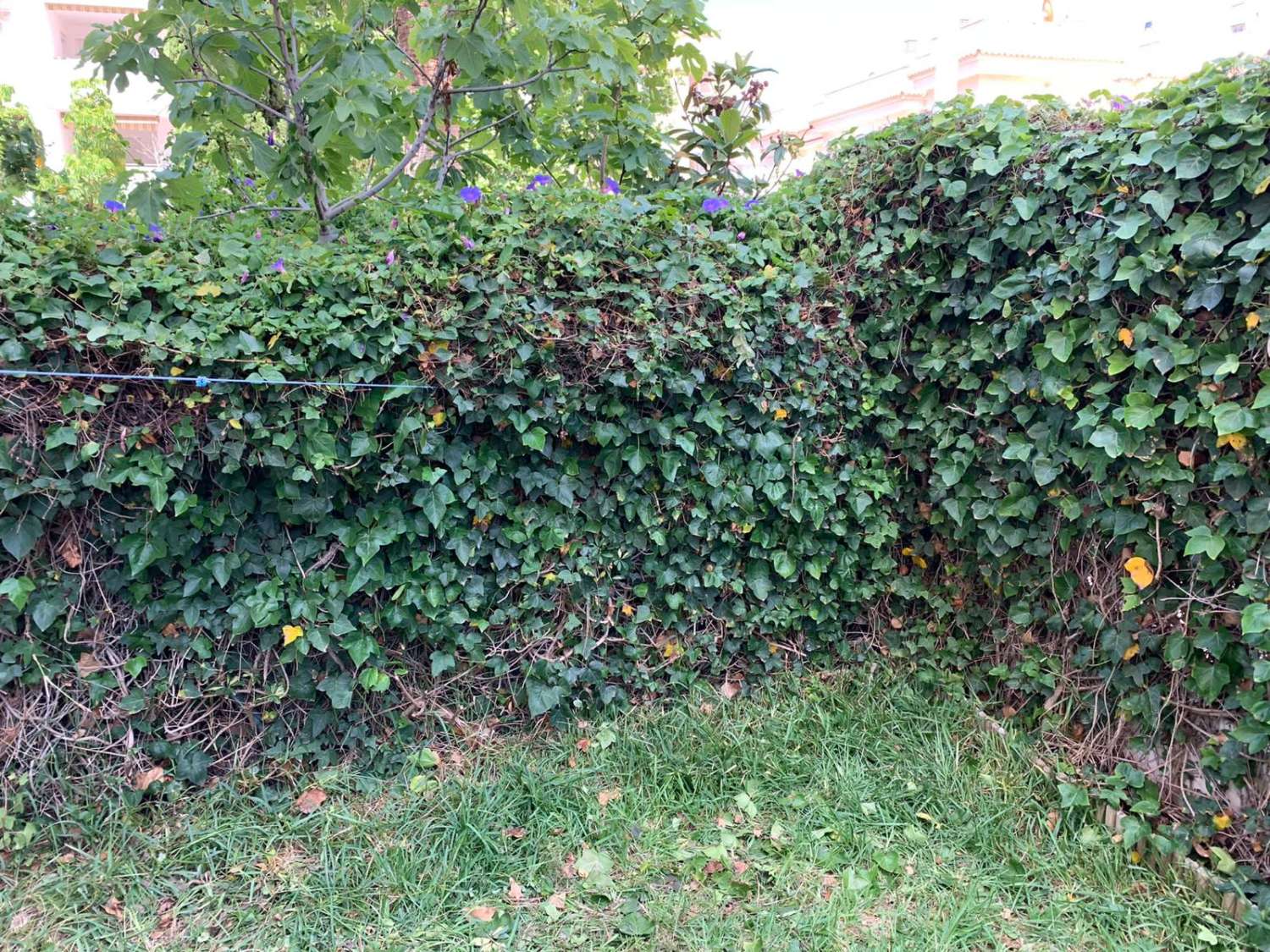 TE HUUR VAN 1-3-30-6-26 EN VAN 1-9-30-6-27 MOOI APPARTEMENT AAN 2ND LINE BEACH IN LA CARIHUELA (TORREMOLINOS)