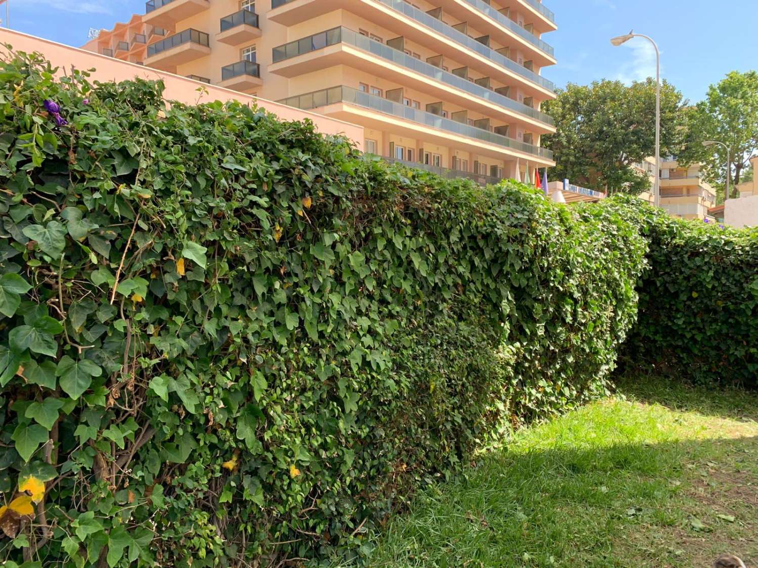 TE HUUR VAN 1-3-30-6-26 EN VAN 1-9-30-6-27 MOOI APPARTEMENT AAN 2ND LINE BEACH IN LA CARIHUELA (TORREMOLINOS)