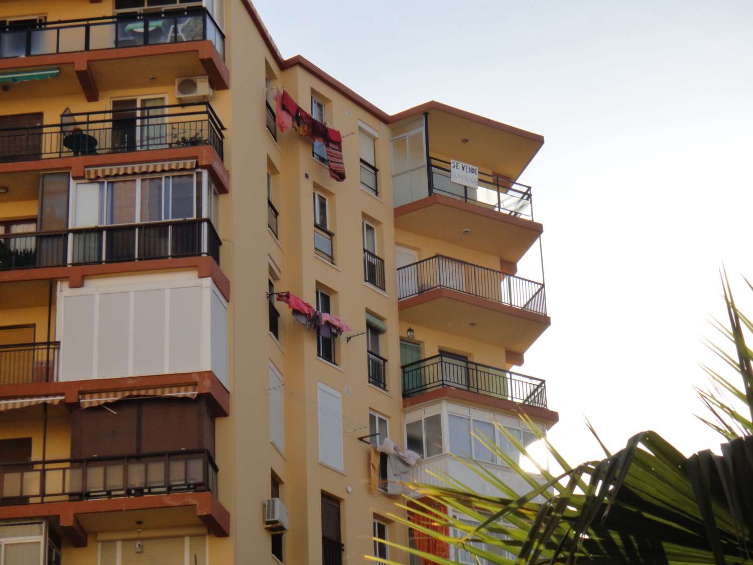 MEZZA STAGIONE. In affitto dal 01/9/25 - 30/06/26 Grazioso appartamento sulla spiaggia di 1a linea con vista sul mare a Playamar (Torremolinos)