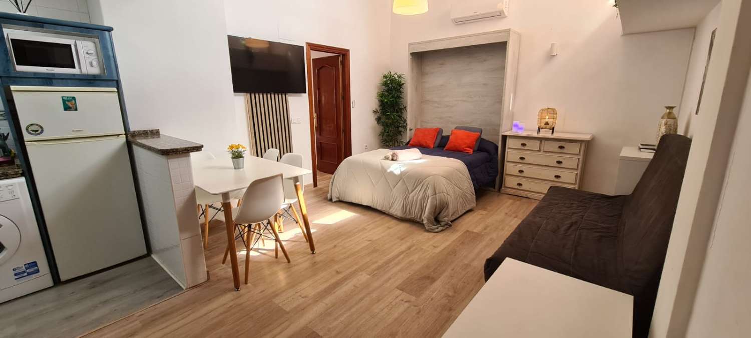 AFFITTATO DAL 27/02/25 AL 18/4/25 E DAL 01/10/25 AL 31/05/26 GRAZIOSO E LUMINOSO APPARTAMENTO A BENALMADENA CON PATIO