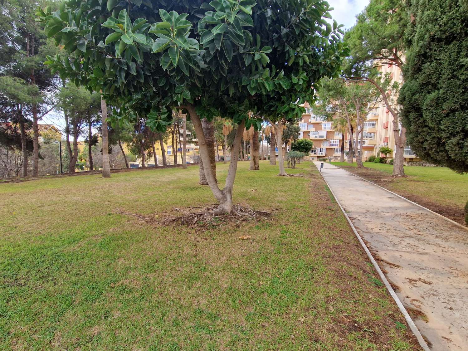 AFFITTATO DAL 27/02/25 AL 18/4/25 E DAL 01/10/25 AL 31/05/26 GRAZIOSO E LUMINOSO APPARTAMENTO A BENALMADENA CON PATIO