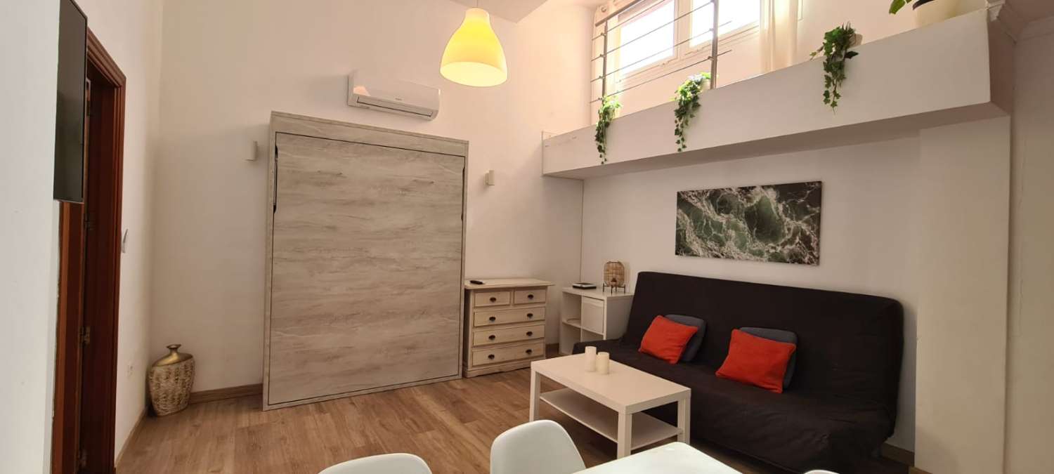AFFITTATO DAL 27/02/25 AL 18/4/25 E DAL 01/10/25 AL 31/05/26 GRAZIOSO E LUMINOSO APPARTAMENTO A BENALMADENA CON PATIO