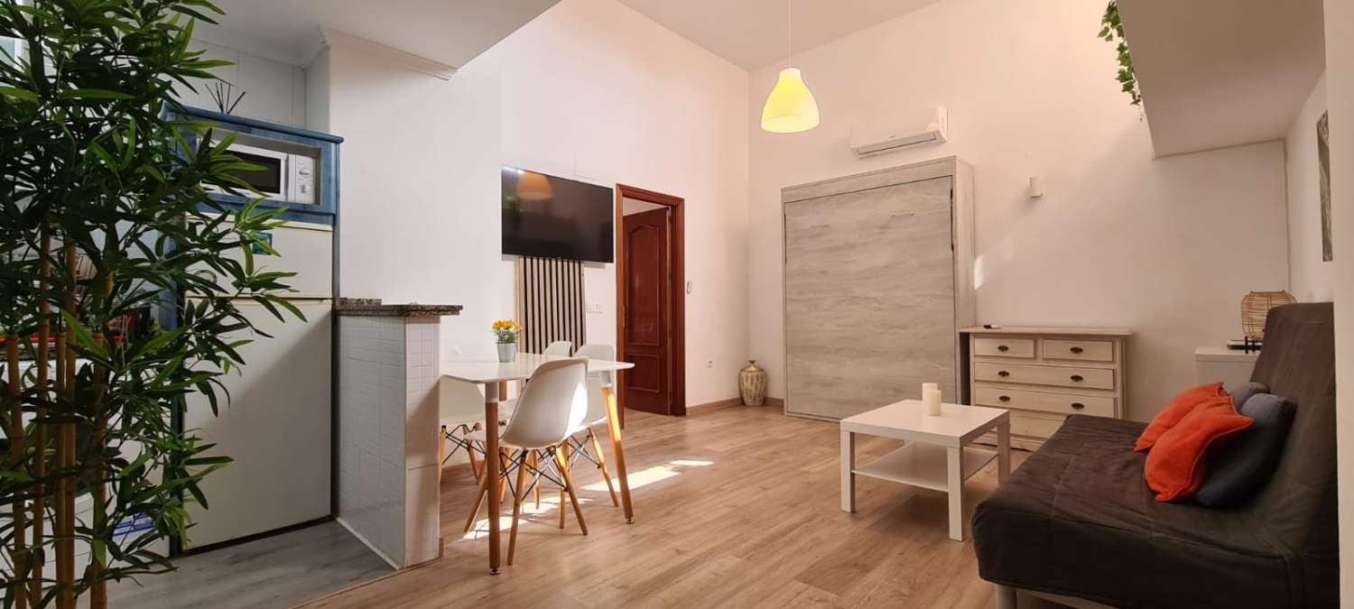 AFFITTATO DAL 27/02/25 AL 18/4/25 E DAL 01/10/25 AL 31/05/26 GRAZIOSO E LUMINOSO APPARTAMENTO A BENALMADENA CON PATIO