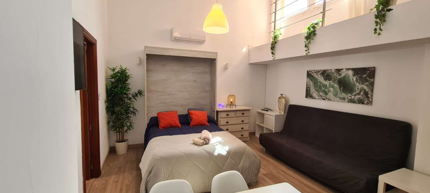 AFFITTATO DAL 27/02/25 AL 18/4/25 E DAL 01/10/25 AL 31/05/26 GRAZIOSO E LUMINOSO APPARTAMENTO A BENALMADENA CON PATIO