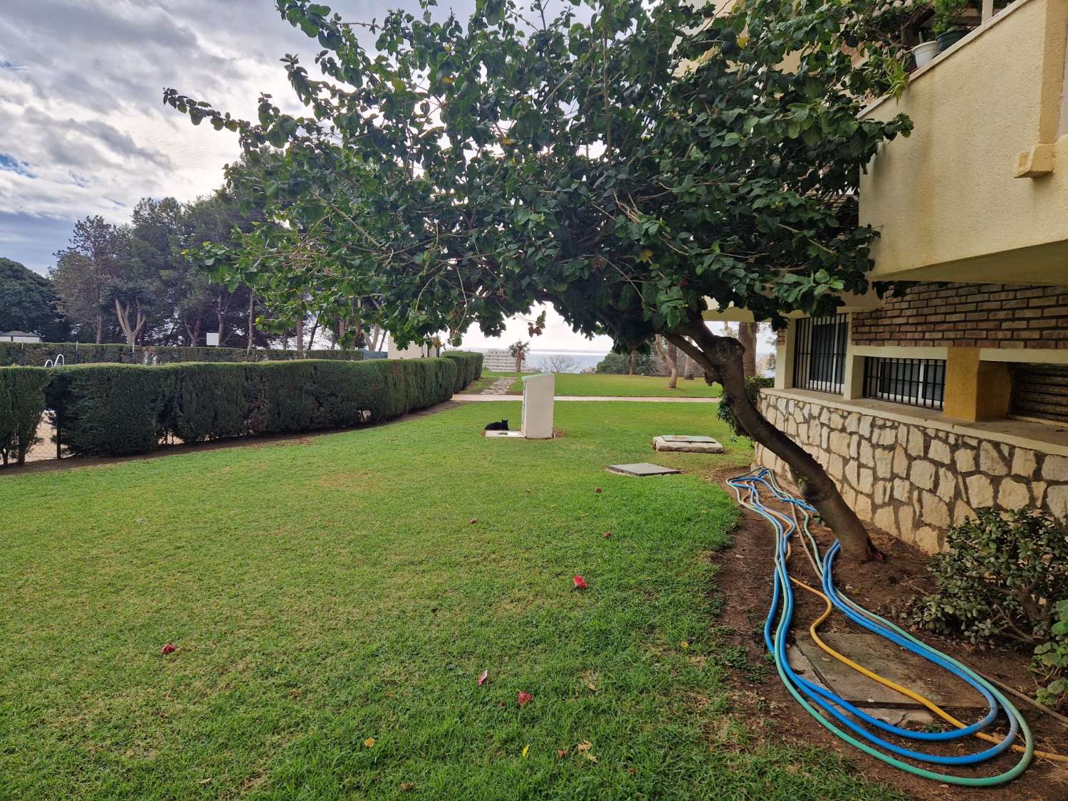 AFFITTATO DAL 27/02/25 AL 18/4/25 E DAL 01/10/25 AL 31/05/26 GRAZIOSO E LUMINOSO APPARTAMENTO A BENALMADENA CON PATIO