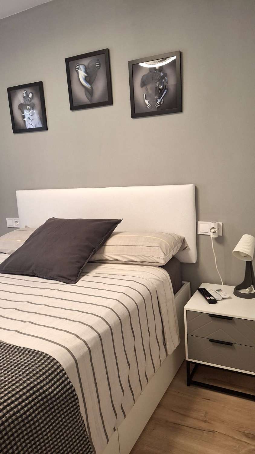 HALF SEASON. FOR RENT FROM 24.02.26-30.6.26 NICE APARTMENT WITH SEA VIEWS IN ARROYO DE LA MIEL
