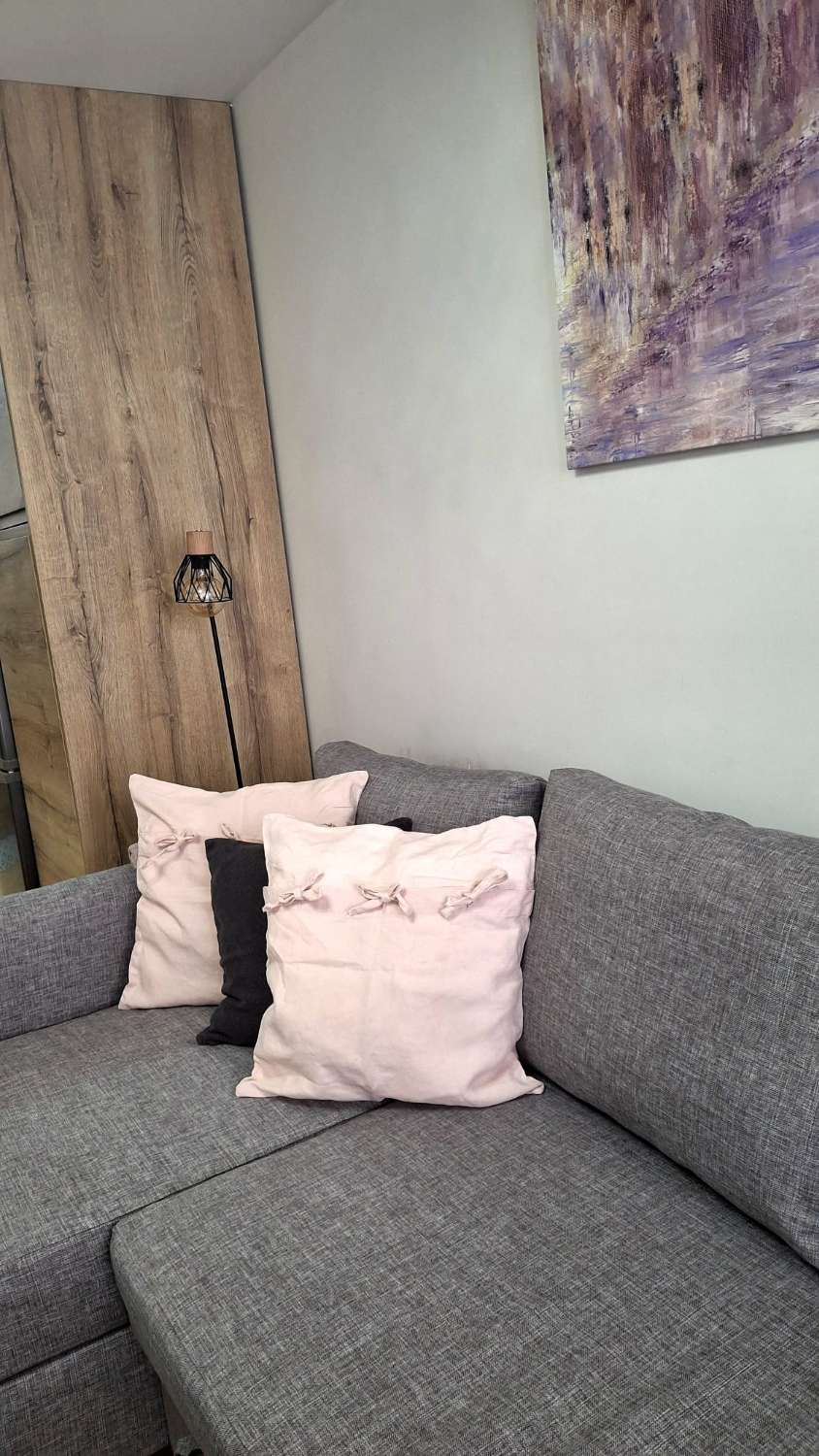 HALF SEASON. FOR RENT FROM 24.02.26-30.6.26 NICE APARTMENT WITH SEA VIEWS IN ARROYO DE LA MIEL