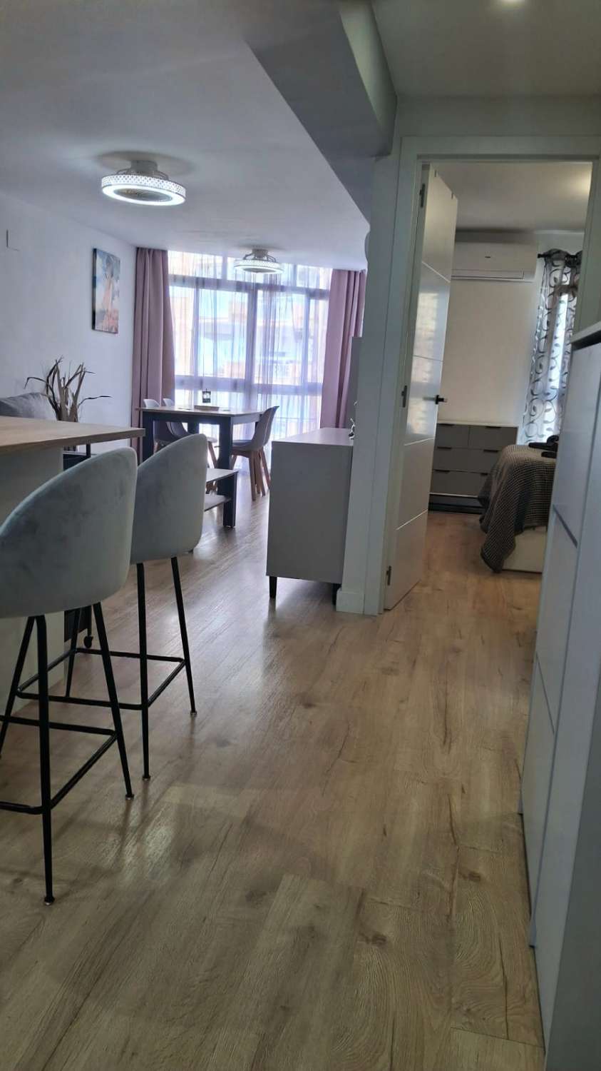 HALF SEASON. FOR RENT FROM 24.02.26-30.6.26 NICE APARTMENT WITH SEA VIEWS IN ARROYO DE LA MIEL