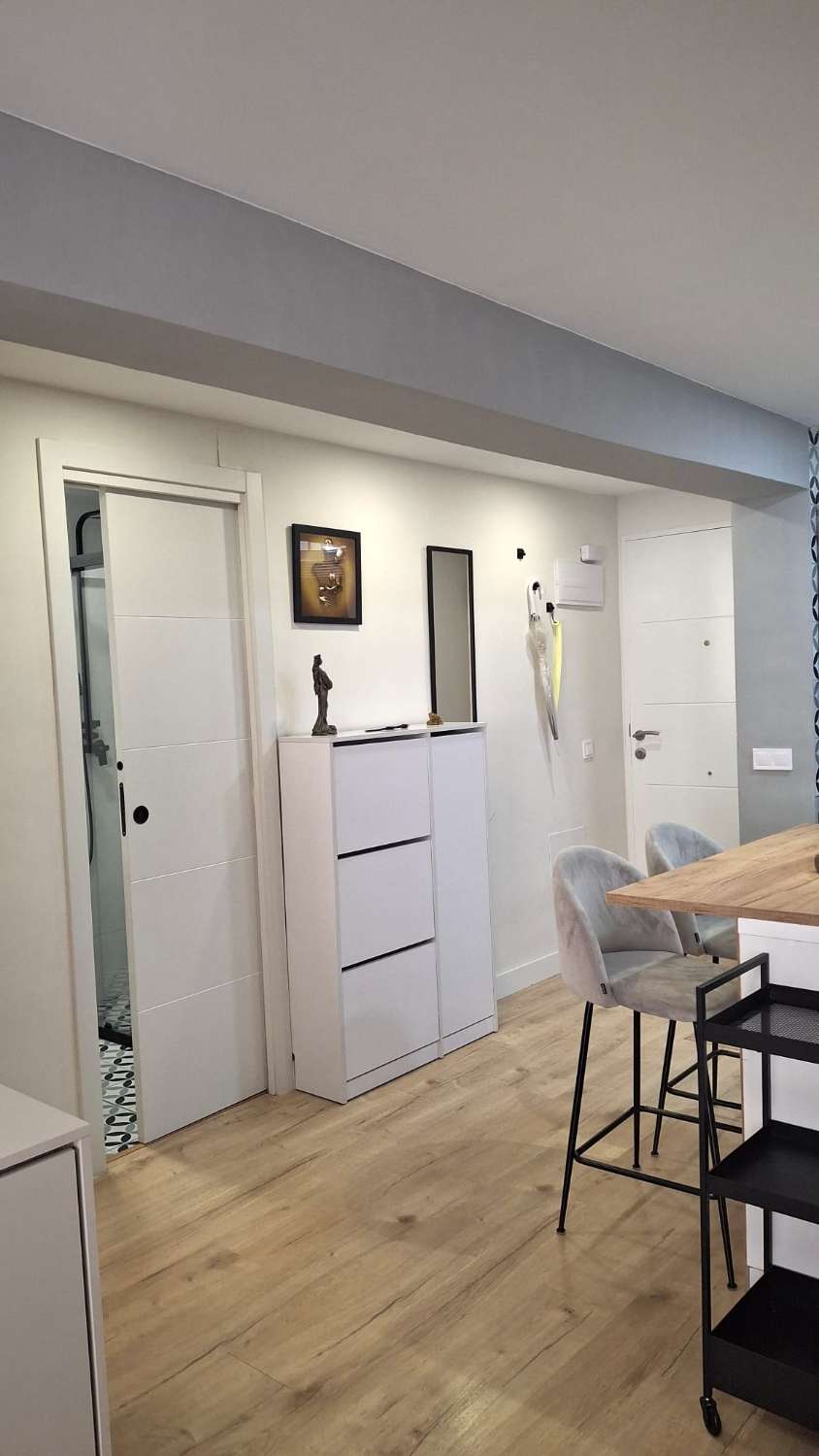 HALF SEASON. FOR RENT FROM 24.02.26-30.6.26 NICE APARTMENT WITH SEA VIEWS IN ARROYO DE LA MIEL