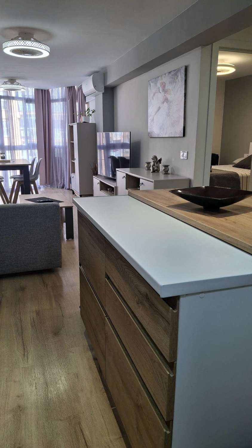 HALF SEASON. FOR RENT FROM 24.02.26-30.6.26 NICE APARTMENT WITH SEA VIEWS IN ARROYO DE LA MIEL