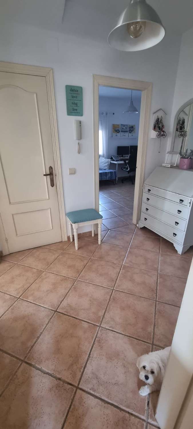 HALF SEASON.  RENTING FROM 1.9.25-30.6.26 NICE APARTMENT IN BENAJARAFE ON 2ND LINE BEACH (MALAGA)