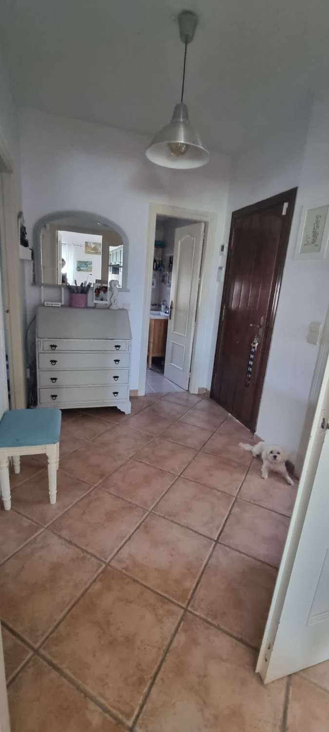 HALF SEASON.  RENTING FROM 1.9.25-30.6.26 NICE APARTMENT IN BENAJARAFE ON 2ND LINE BEACH (MALAGA)