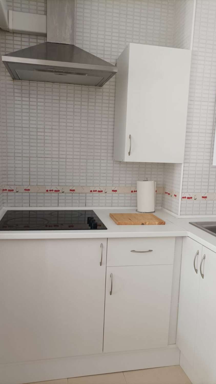 HALF SEASON. FOR RENT FROM 1.9.26-30.6.27 NICE APARTMENT AREA LA CARIHUELA (TORREMOLINOS)