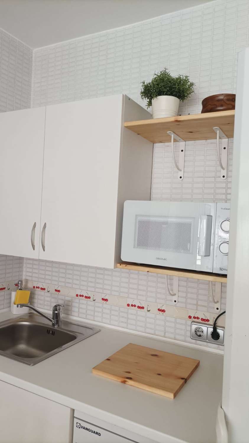 HALF SEASON. FOR RENT FROM 1.9.26-30.6.27 NICE APARTMENT AREA LA CARIHUELA (TORREMOLINOS)