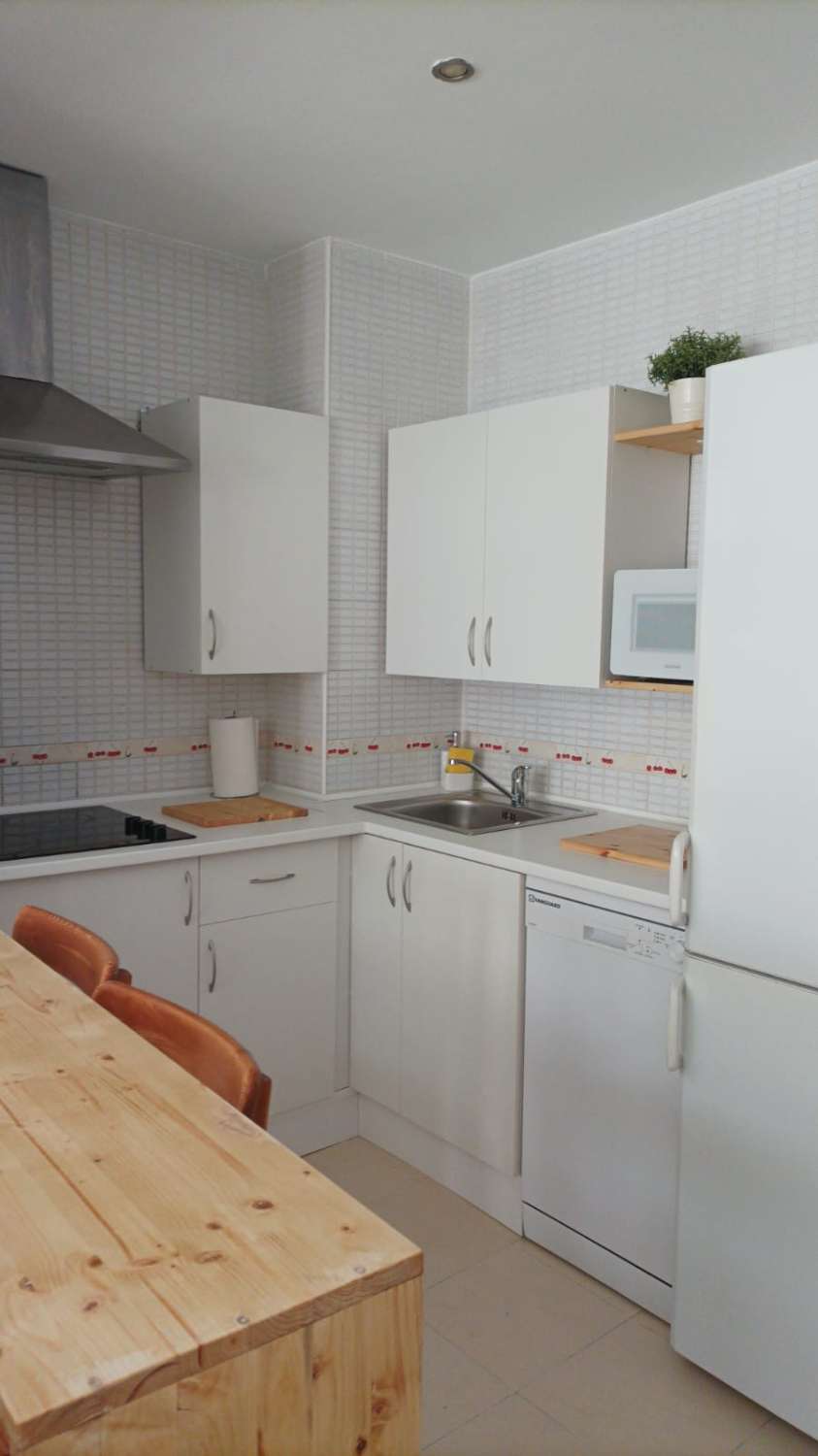 HALF SEASON. FOR RENT FROM 1.9.26-30.6.27 NICE APARTMENT AREA LA CARIHUELA (TORREMOLINOS)