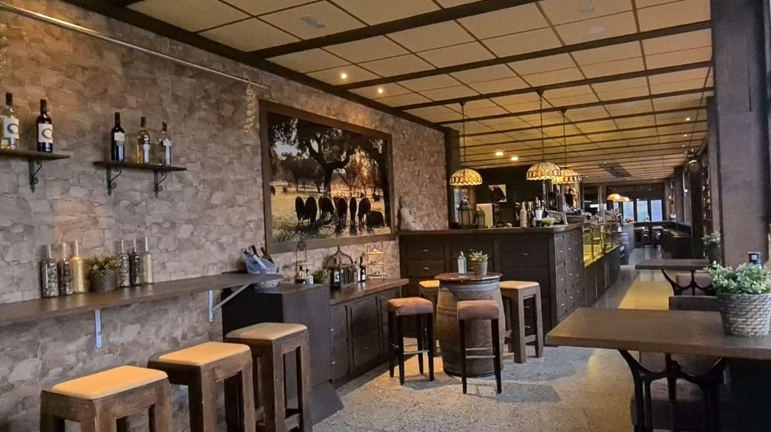 MAGNIFICENT FULLY ASSEMBLED PREMISES FOR SALE NEAR LA CARIHUELA (TORREMOLINOS)