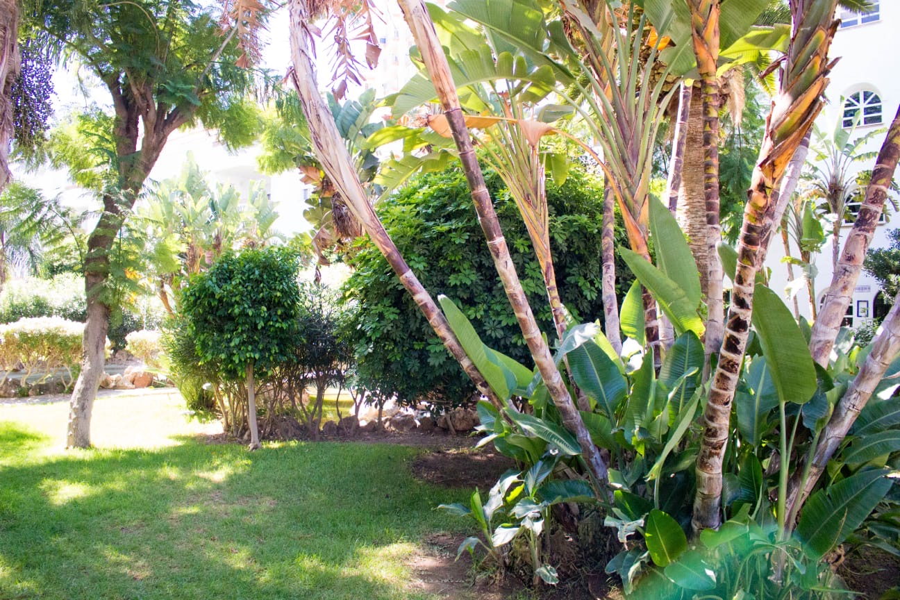 MEDIA TEMPORADA SE ALQUILA DESDE 1.9. 25-30.6.26  BONITO APARTAMENTO EN PLANTA BAJA A 150 METROS DE LA PLAYA EN BENALMADENA
