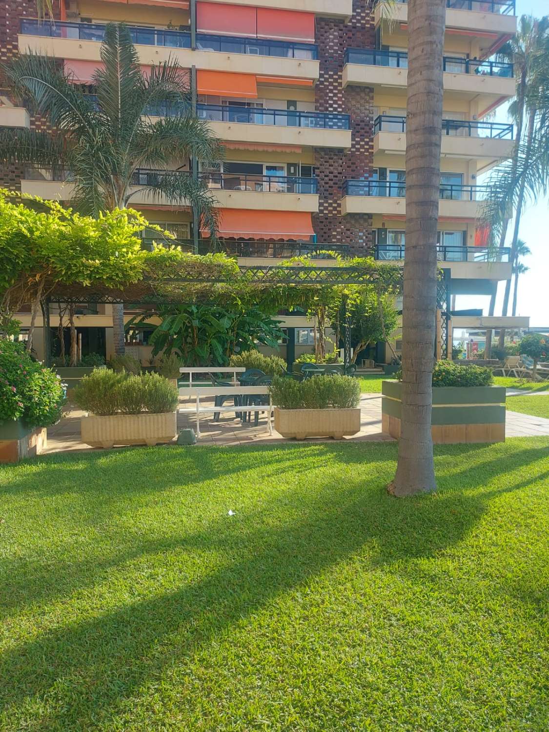 MEDIA TEMPORADA SE ALQUILA DESDE 1.9.25 -30.6.26 PRECIOSO APARTAMENTO EN 1ª LINEA DE PLAYA  CON VISTAS AL MAR  EN LA CARIHUELA ( TORREMOLINOS )