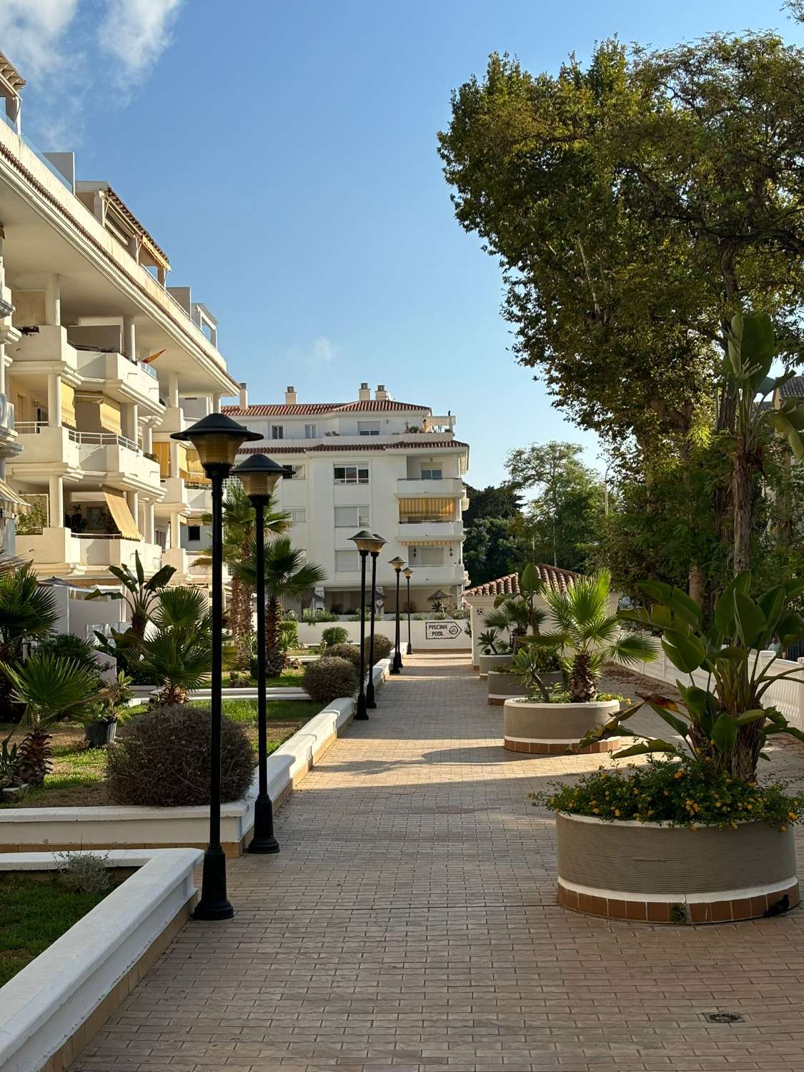 MEDIA TEMPORADA . SE ALQUILA DESDE 3.9.25-30.6.26 BONITO APARTAMENTO  EN LA CARIHUELA (TORREMOLINOS)