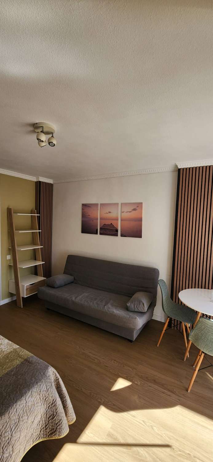 Studie udlejes i Arroyo de la Miel (Benalmádena)