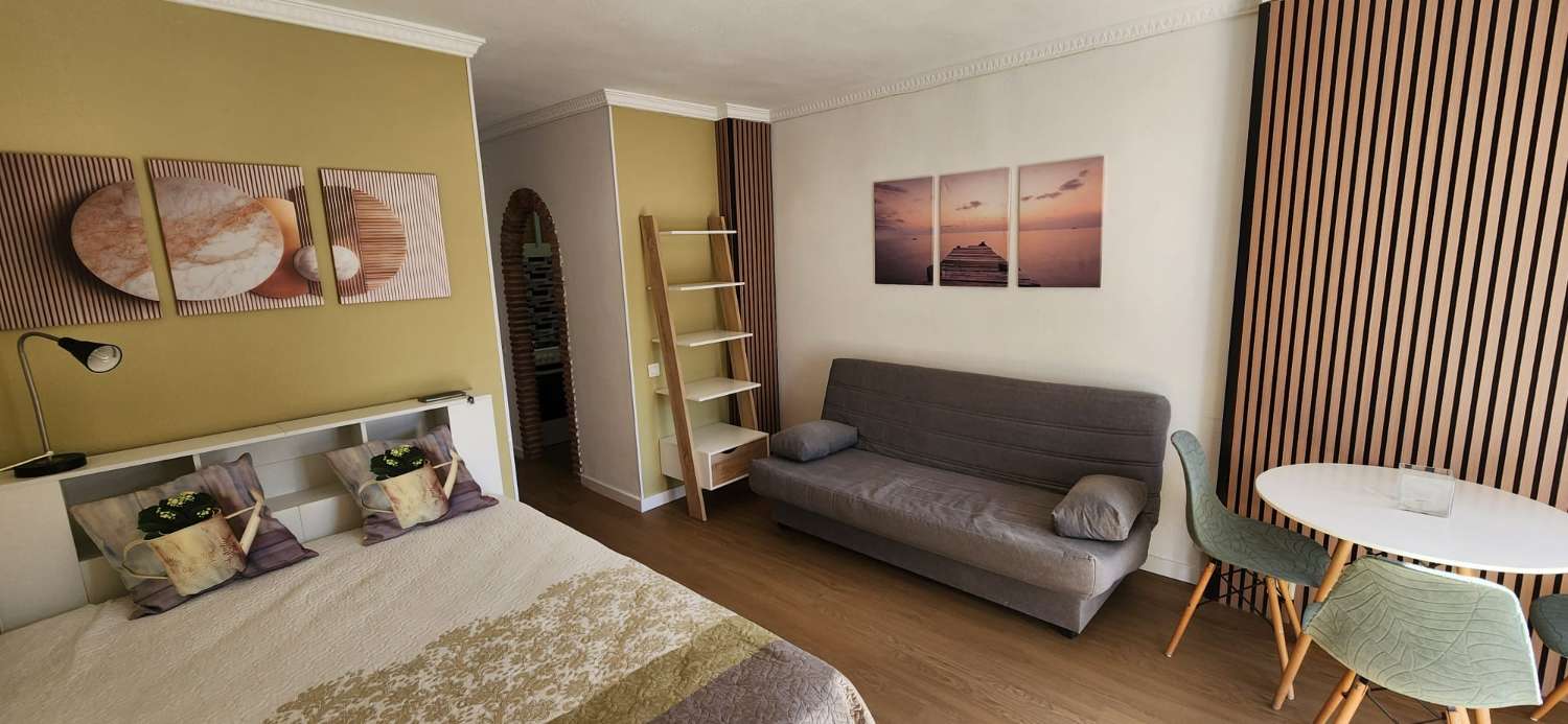 Studie udlejes i Arroyo de la Miel (Benalmádena)