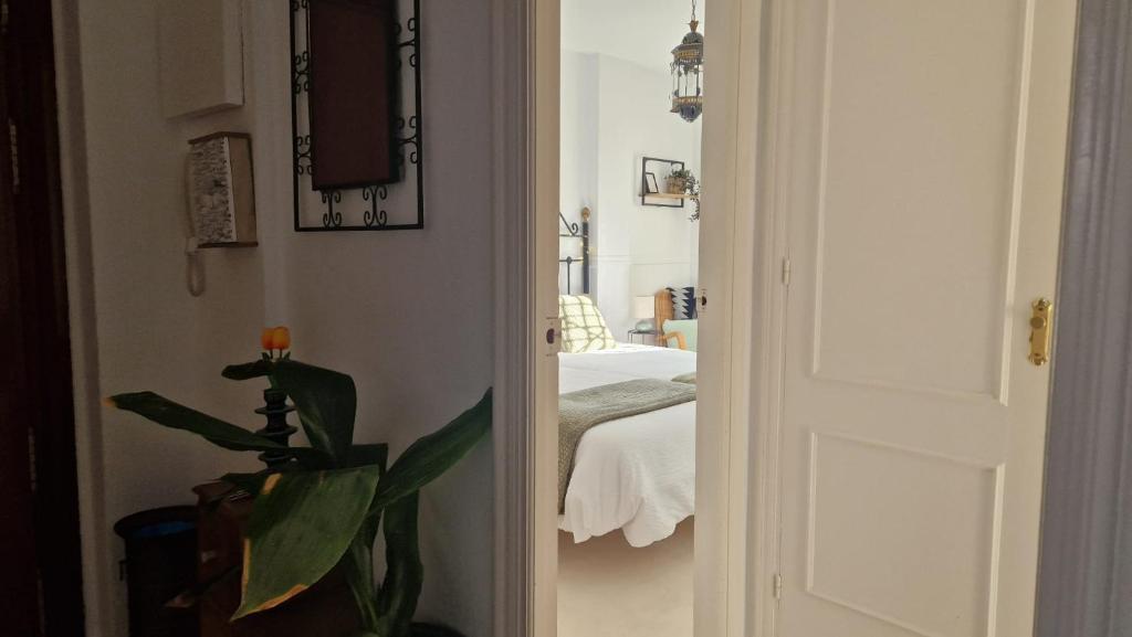 Petit Appartement en location à Sitio de Calahonda (Mijas)