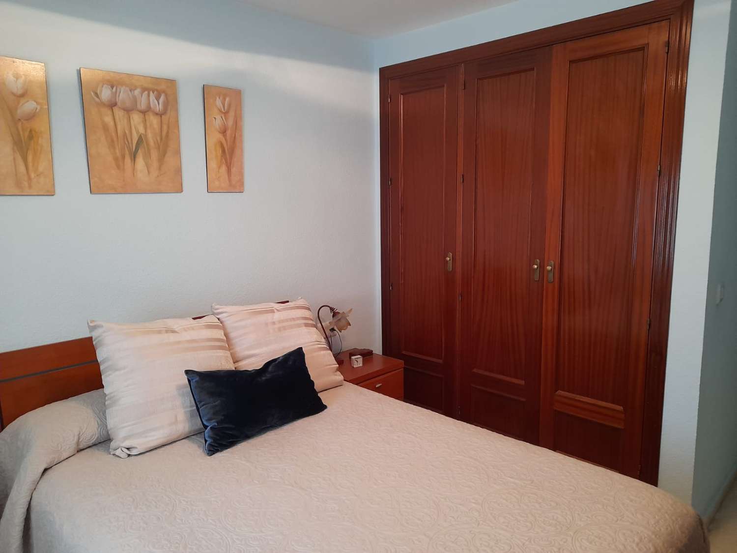 SE VENDE MAGNIFICO APARTAMENTO EN BENALMADENA ZONA PARQUE DE LA PALOMA