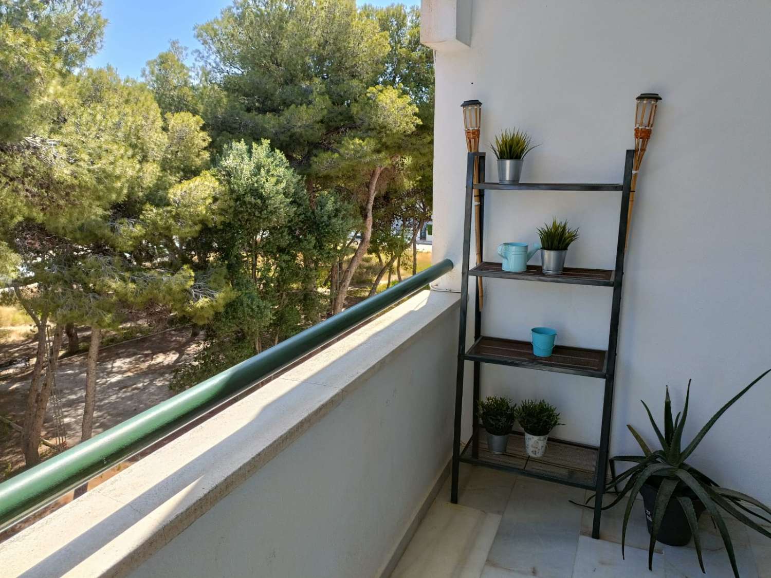 Leilighet sesongmessige til Montemar (Torremolinos)