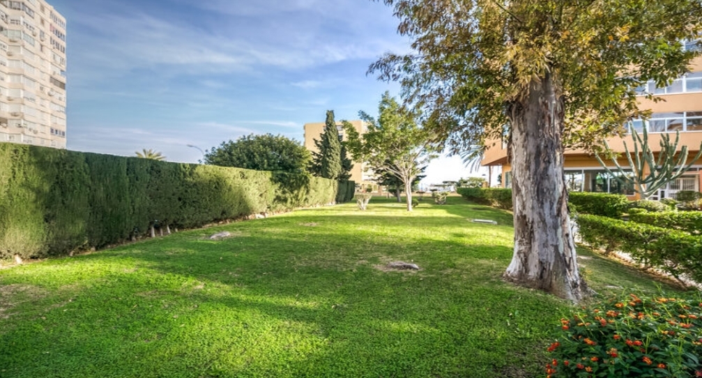 BEAU STUDIO À VENDRE DANS LA RÉGION DE LA COLINA (TORREMOLINOS).