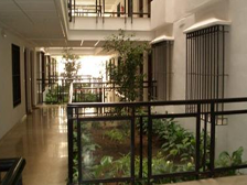 Appartment zur miete in Solymar - Puerto Marina (Benalmádena)