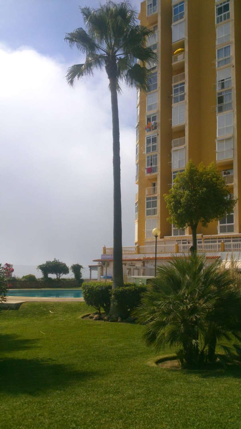 LEJET FRA NU AF I 6 MÅNEDER, EN FORNYBAR SMUK LEJLIGHED PÅ FØRSTE LINJE AF STRANDEN I MIJAS COSTA