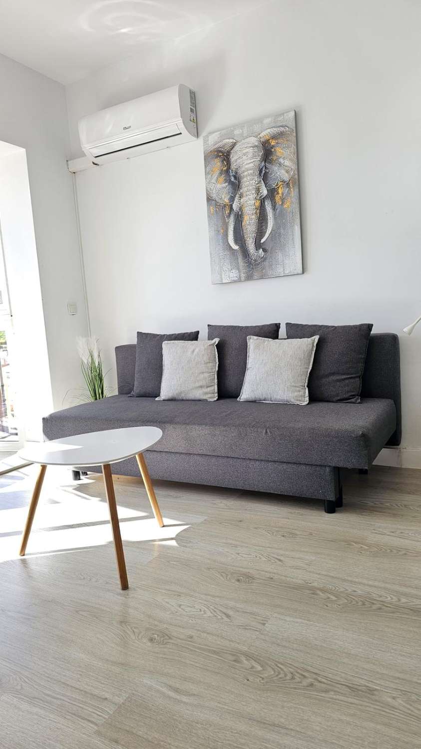 Studio in vendita a Manantiales - Estación de Autobuses (Torremolinos)