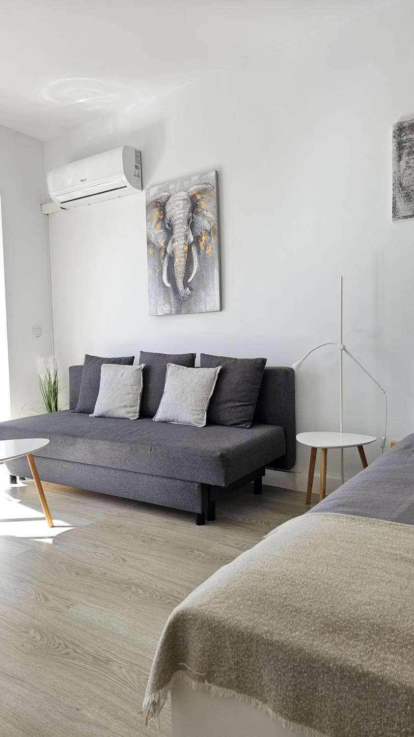 Studio in vendita a Manantiales - Estación de Autobuses (Torremolinos)