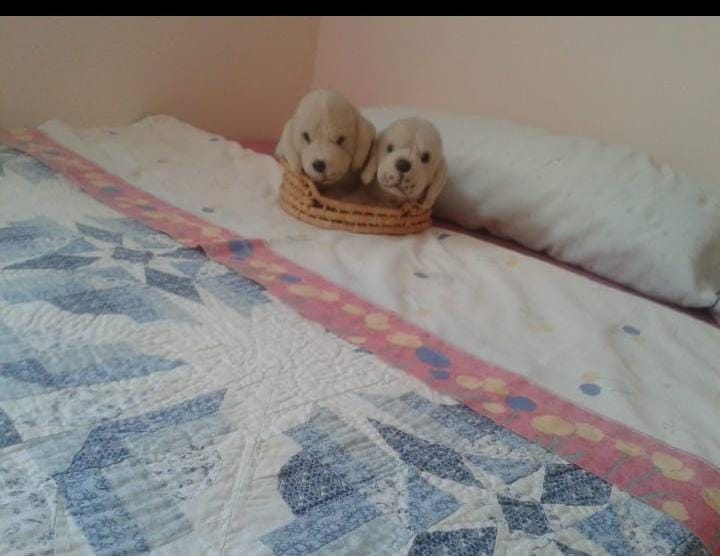 Leilighet sesongmessige til Mijas