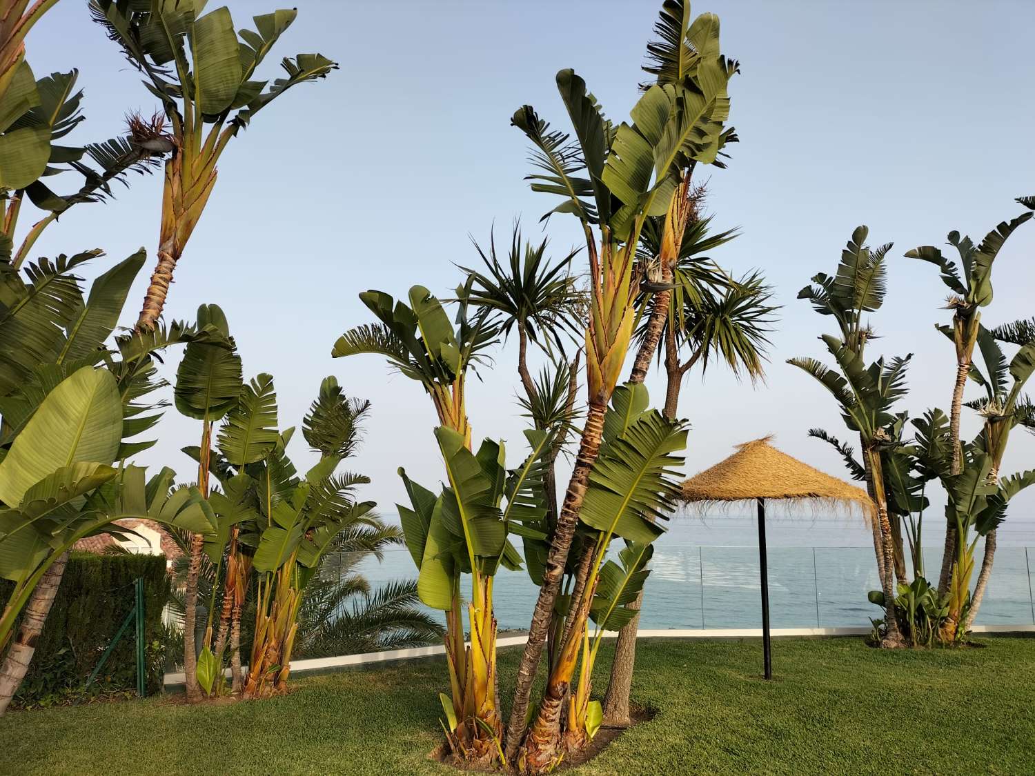 IN AFFITTO DAL 1.4.26 PER UN BELLISSIMO APPARTAMENTO A LUNGO TERMINE CON VISTA SUL MARE SULLA PRIMA LINEA DELLA SPIAGGIA A BENALMADENA