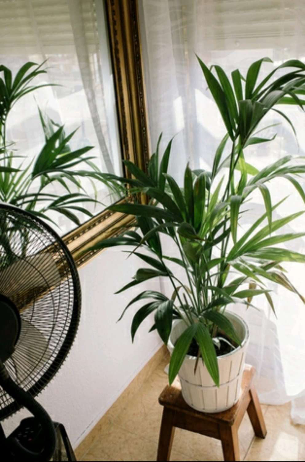 LUNGO TERMINE - Bel monolocale con vista sul mare in affitto a Arroyo de la Miel