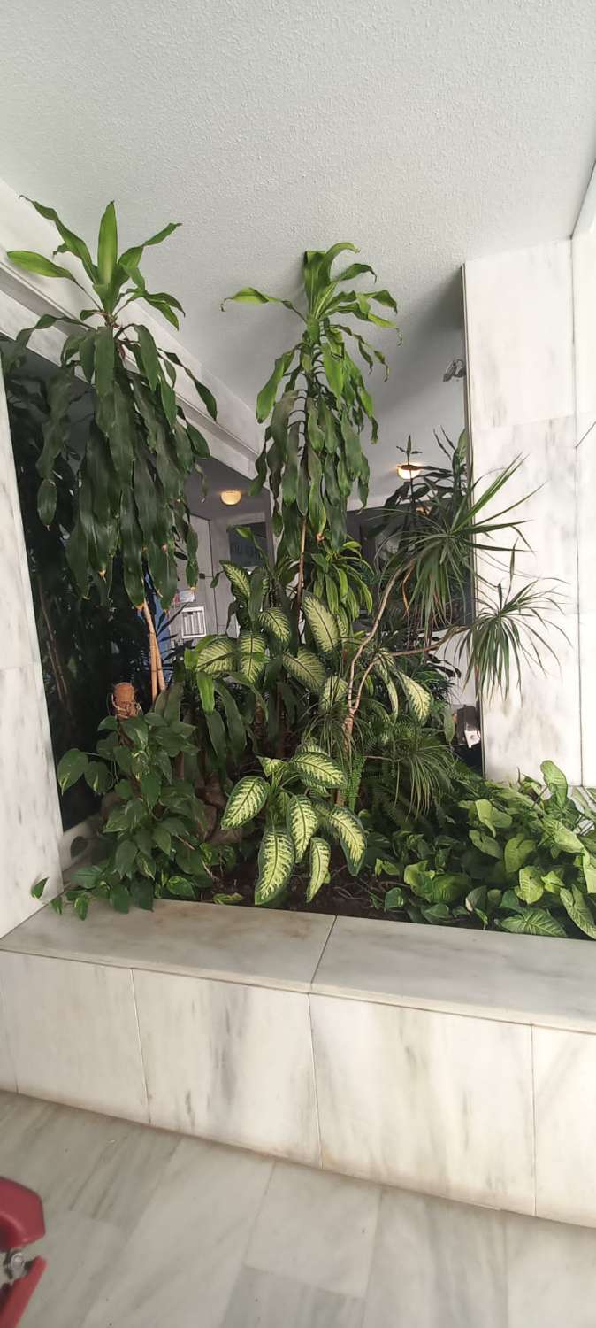 Pieni huoneisto myynnissä Zona Sohail (Fuengirola)