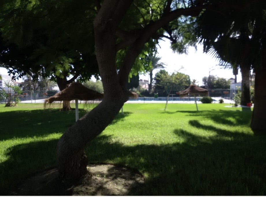 Petit Appartement saisonnière à Benalmádena