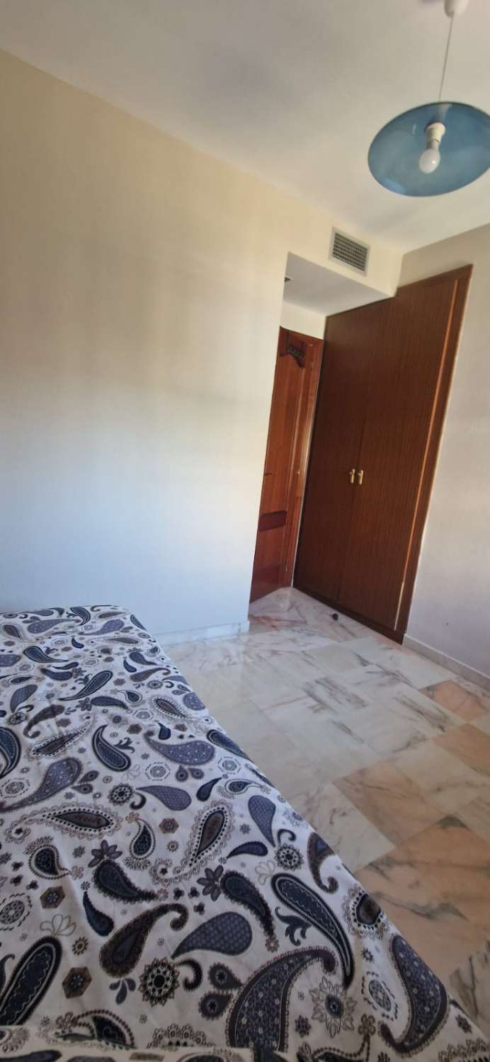 Petit Appartement saisonnière à Benalmádena Costa