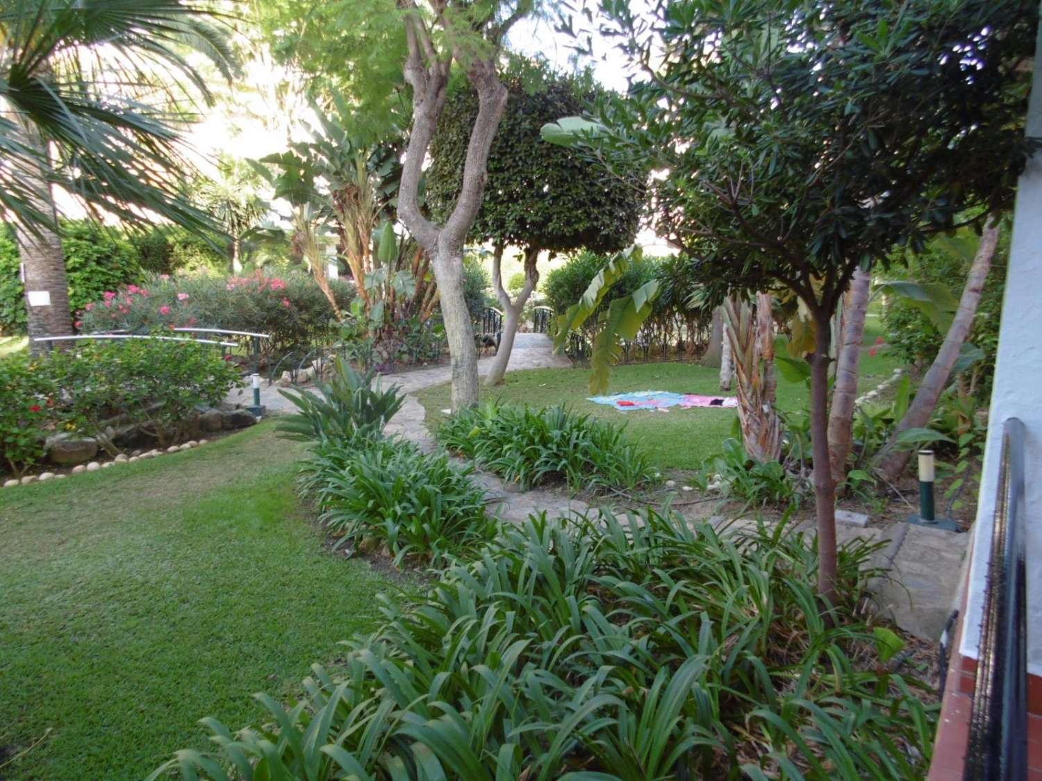 Petit Appartement saisonnière à Benalmádena