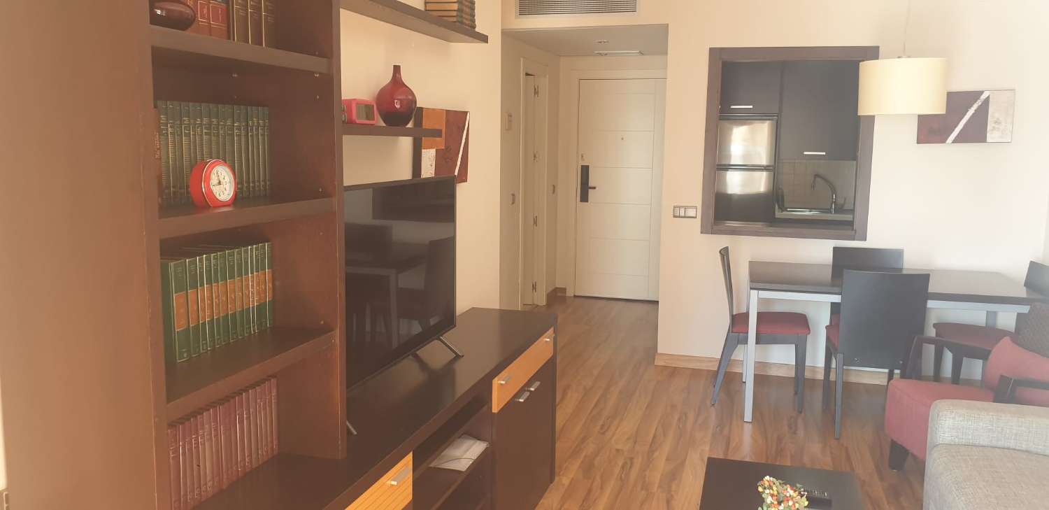 Petit Appartement saisonnière à Benalmádena Costa