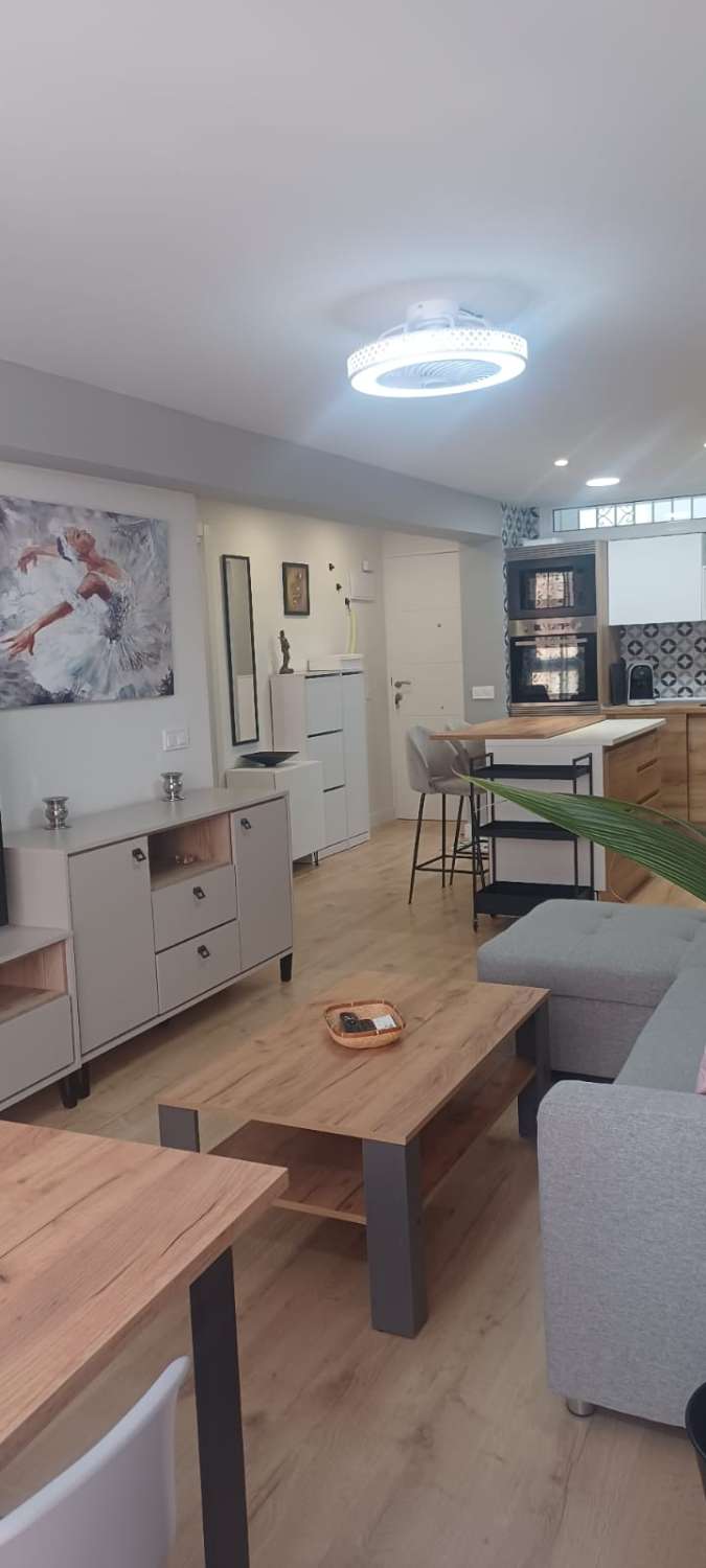 Petit Appartement saisonnière à Arroyo de la Miel (Benalmádena)