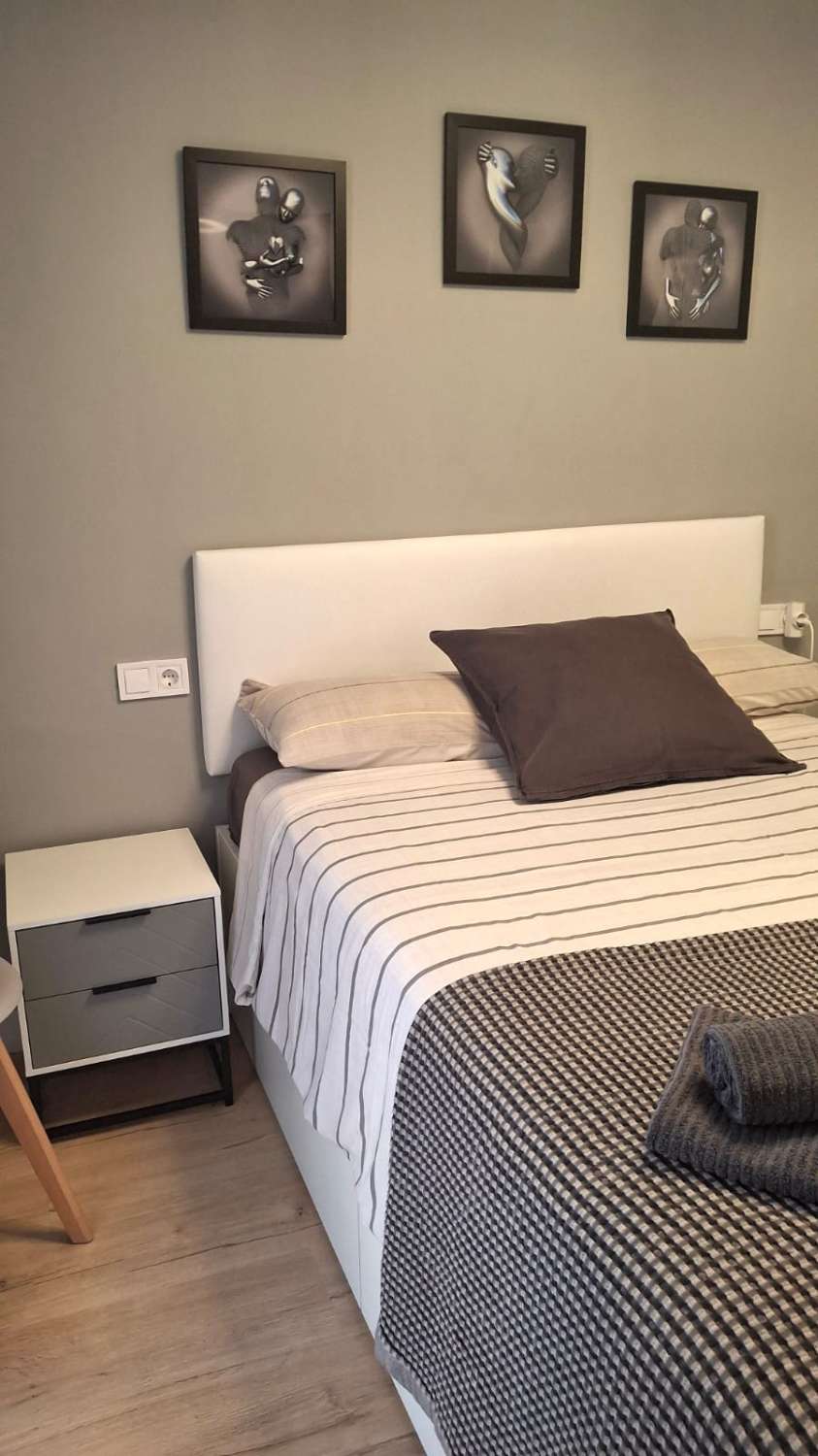 Petit Appartement saisonnière à Arroyo de la Miel (Benalmádena)